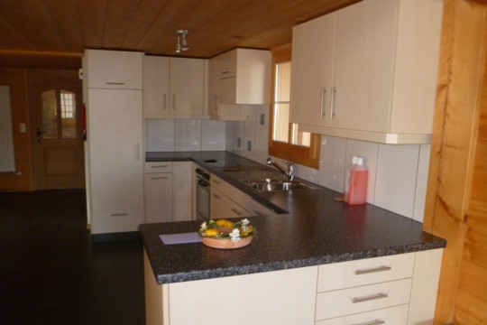 Buchi 2011 010.jpg